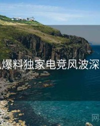 吃瓜爆料独家电竞风波深解析
