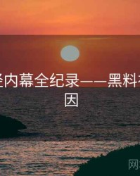 详尽财经内幕全纪录——黑料社背后原因