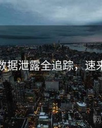 麻豆数据泄露全追踪，速来查看